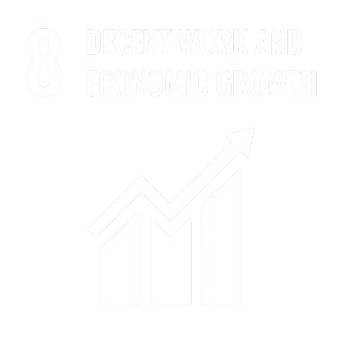 SDG 8